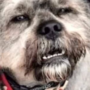 Meet your Posher, Shane